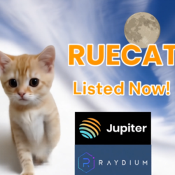 Rue Cat $RUECAT is listed on Raydium and Jupiter