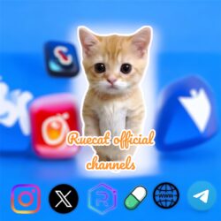 IG: @ruecatsolana
X: @ruecatsolana
Social: www.social.ruecat.com
Raydium ✅
Official Telegram Group