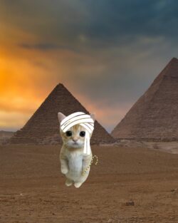 Our dear RUECAT in Egypt