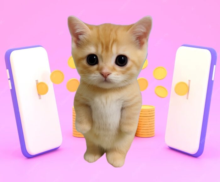 Ruecat to the moon ♥️